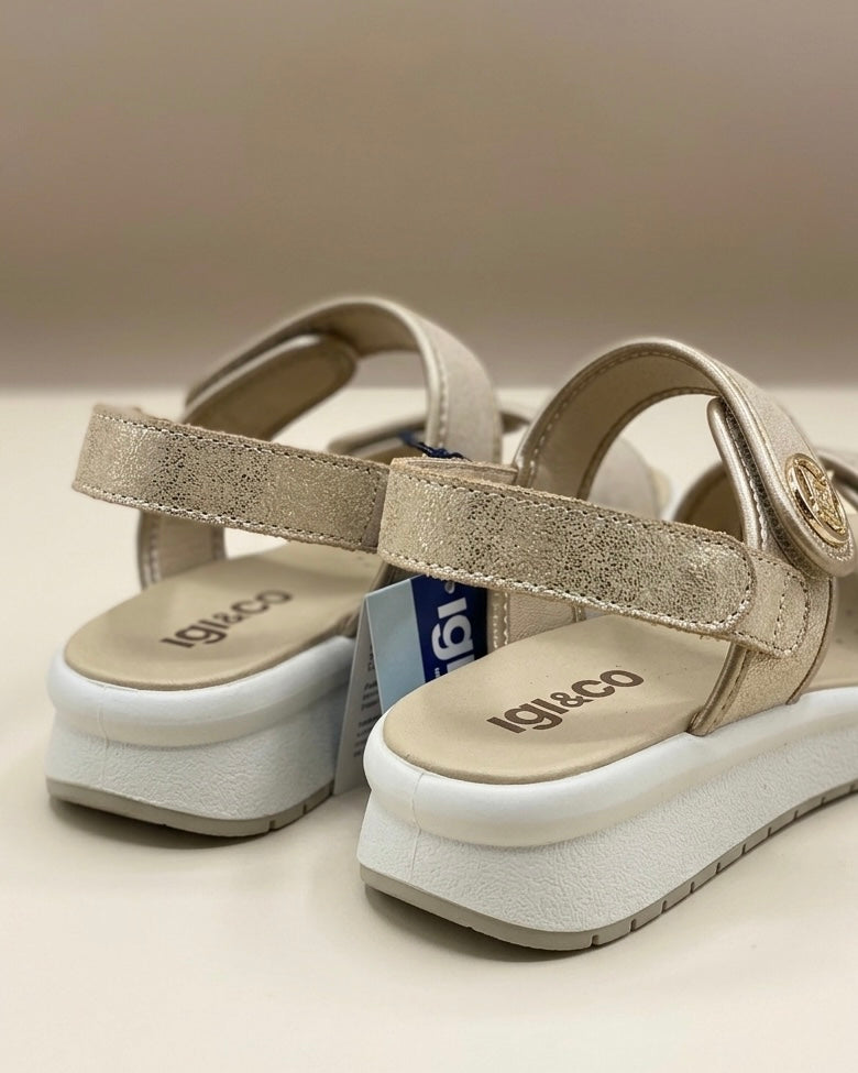 Sandali donna Igi&Co in pelle beige e oro con doppie fasce a strappo e suola ammortizzata bianca - Buttò Calzature - retro.